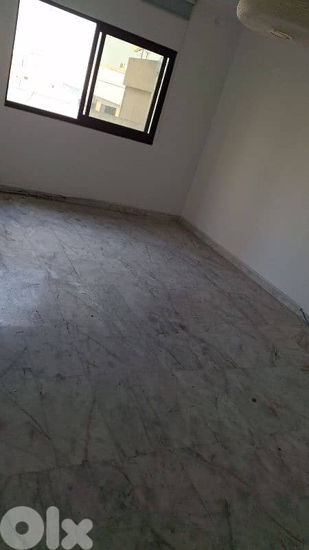 lion street  hamra 0