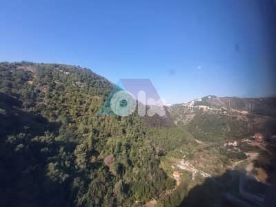 2 bedroom apartment+mountain view 4rent in Zekrit-شقة للإيجار في زكريت