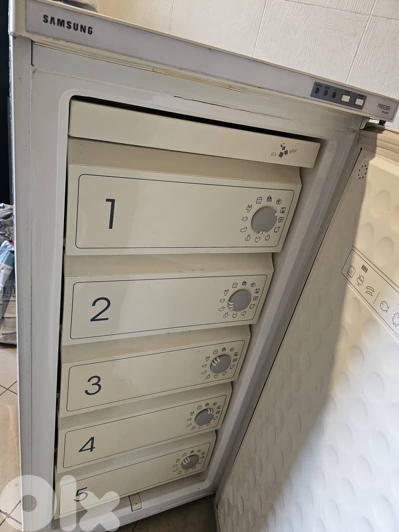 Samsung Freezer 1