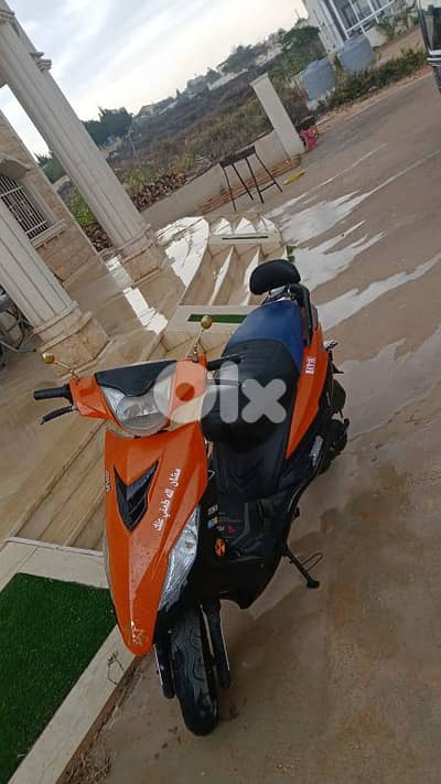 النبطيه تول