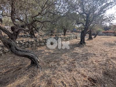 Land for sale in Monsef - Jbeil | أرض للبيع في المنصف- جبيل