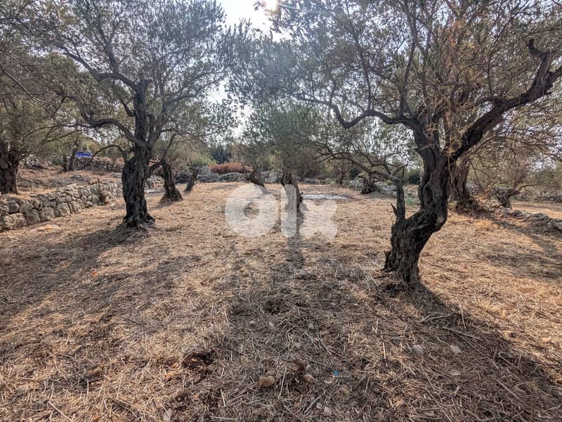 Land for sale in Monsef - Jbeil | أرض للبيع في المنصف- جبيل 1