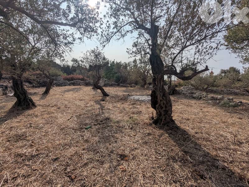 Land for sale in Monsef - Jbeil | أرض للبيع في المنصف- جبيل 2