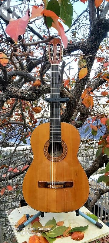 Classic guitar brand Hondo