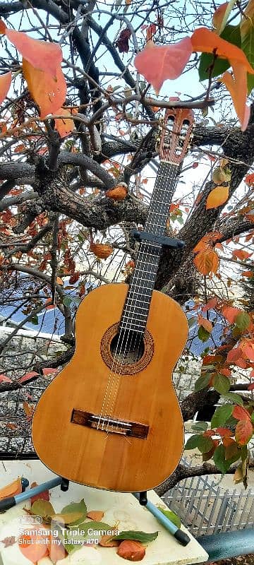 Classic guitar brand Hondo 1