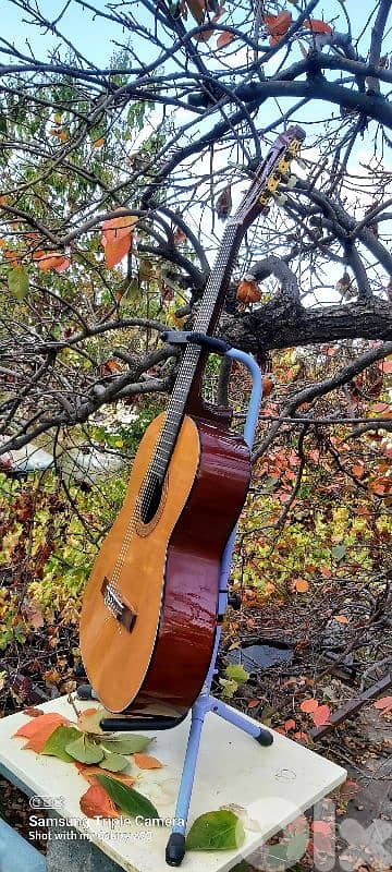 Classic guitar brand Hondo 3