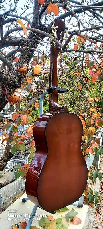 Classic guitar brand Hondo 4