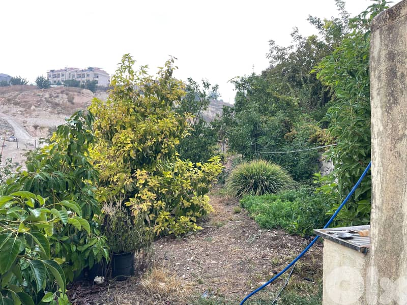 أرض للبيع في جنسنايا، منطقة رائعة ومزروعة بالكامل بأشجار مثمرة 0