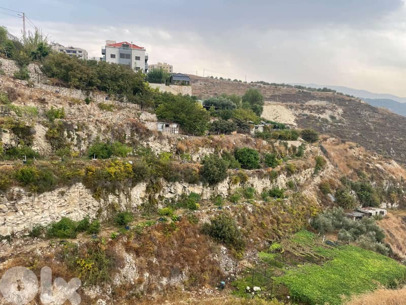 أرض للبيع في جنسنايا، منطقة رائعة ومزروعة بالكامل بأشجار مثمرة 2