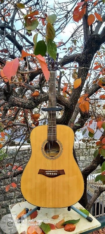 Acoustic guitar brand Franz Kremer