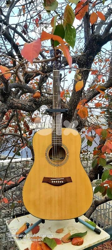 Acoustic guitar brand Franz Kremer 1
