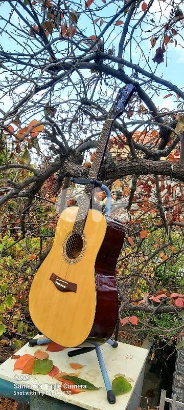 Acoustic guitar brand Franz Kremer 2