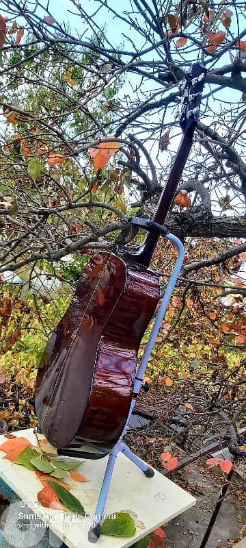 Acoustic guitar brand Franz Kremer 3