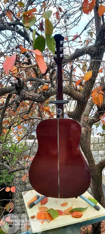 Acoustic guitar brand Franz Kremer 5