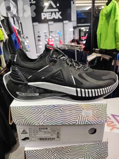 Peak Taichi 3.0 Pro Running Shoes Men