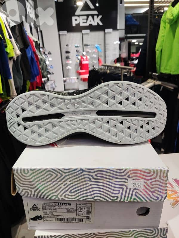 Peak Taichi 3.0 Pro Running Shoes Men 1