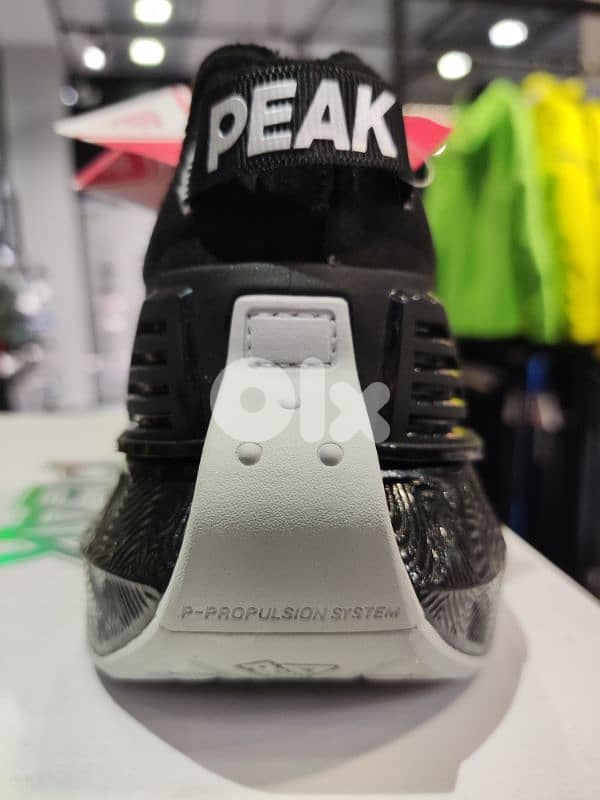 Peak Taichi 3.0 Pro Running Shoes Men 4