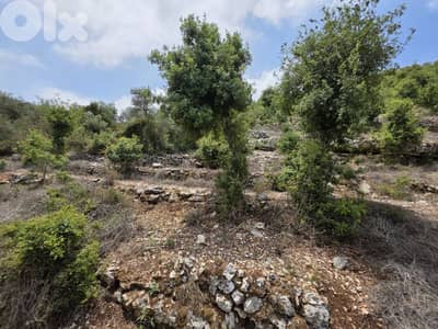 Land | Boxmaya Batroun | Mountain view Bungalows | ارض في البترون | BJ