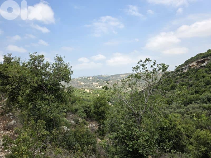 Land | Boxmaya Batroun | Mountain view Bungalows | ارض في البترون | BJ 1