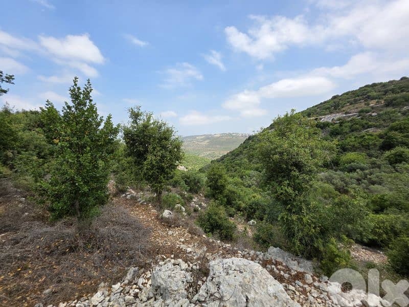 Land | Boxmaya Batroun | Mountain view Bungalows | ارض في البترون | BJ 2