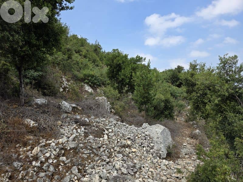 Land | Boxmaya Batroun | Mountain view Bungalows | ارض في البترون | BJ 3