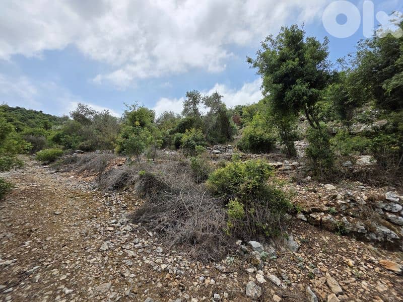Land | Boxmaya Batroun | Mountain view Bungalows | ارض في البترون | BJ 4
