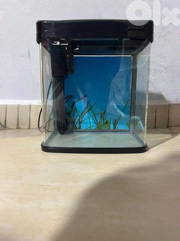حوض للسمك 0