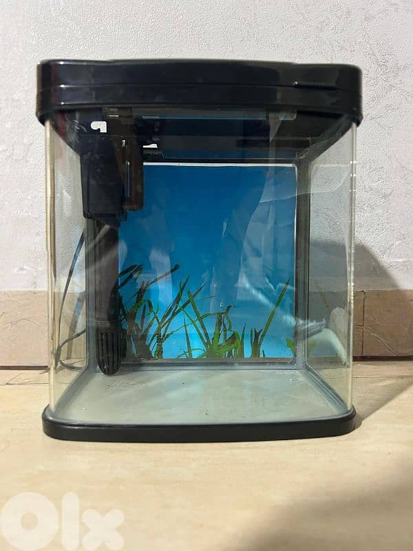 حوض للسمك 2