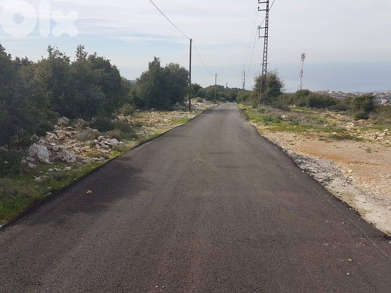 dream land for sale in bentael / jbeil 15 mins away up +9613518504 1