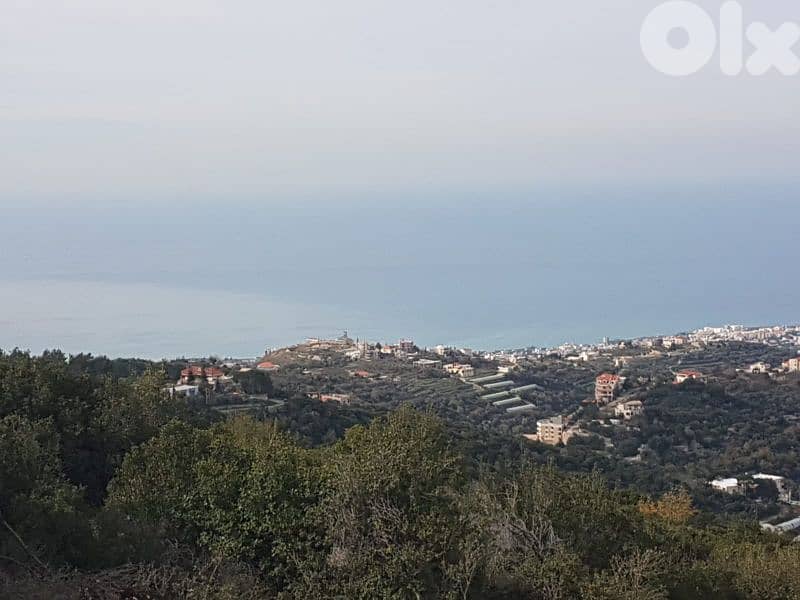 dream land for sale in bentael / jbeil 15 mins away up +9613518504 4