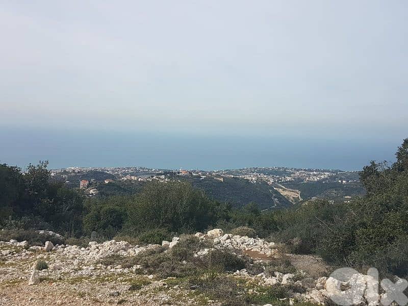 dream land for sale in bentael / jbeil 15 mins away up +9613518504 6