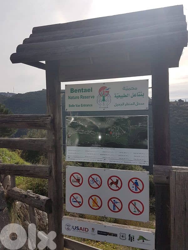 dream land for sale in bentael / jbeil 15 mins away up +9613518504 8