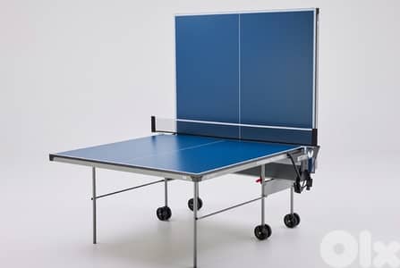 Butterfly indoor table tennis table