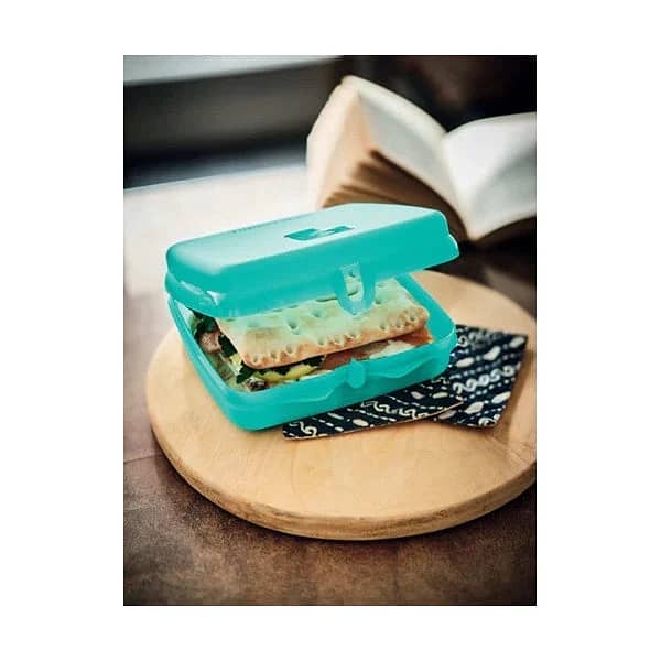 Tupperware everyday essentials 6