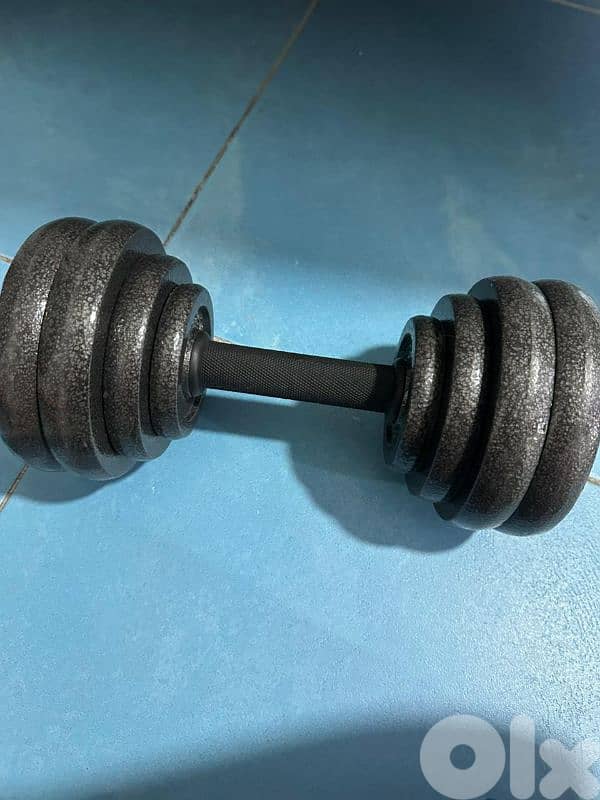 2 dumbells and 1 axe 0