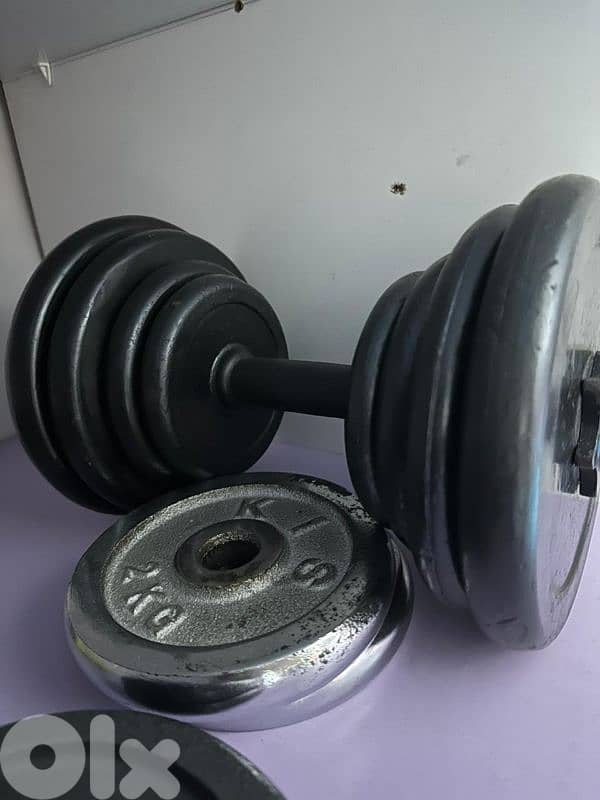 2 dumbells and 1 axe 1