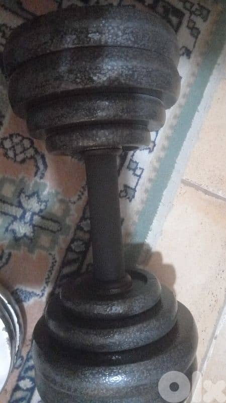 2 dumbells and 1 axe 2