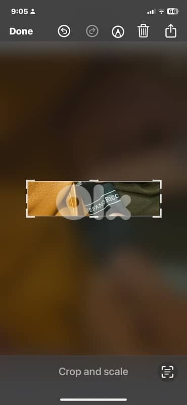 stephano Ricci chevreuil double face  1 piece worlwide 1