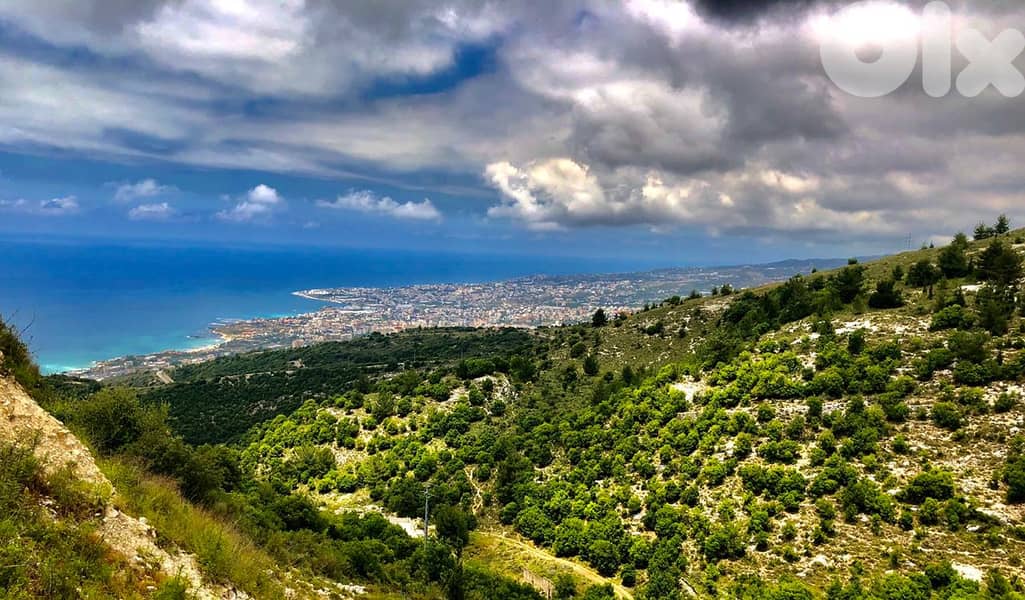 L19711 - Big Residential Land For Sale in Halat With Seaview 1