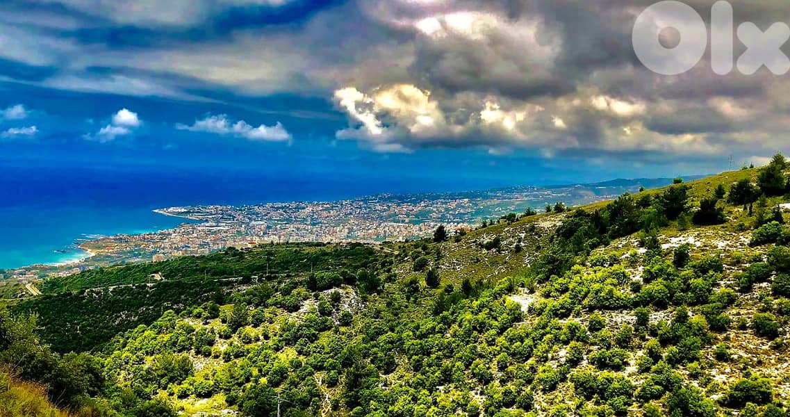 L19711 - Big Residential Land For Sale in Halat With Seaview 2