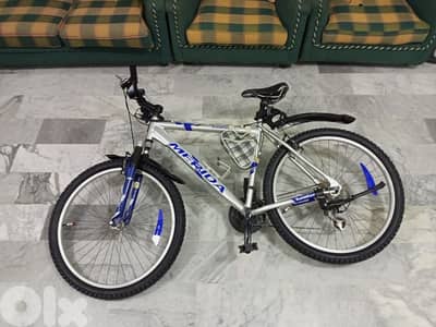 الصفرا حي لاعية