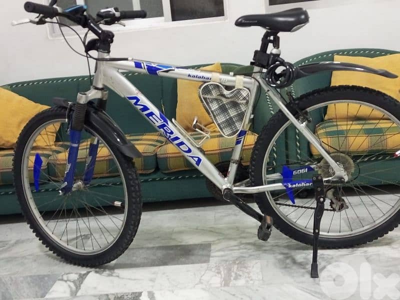 الصفرا حي لاعية 2