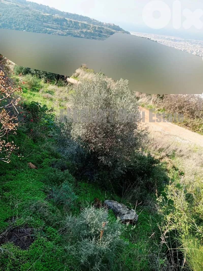 Land for Sale| Panoramic View | Bsaba 0