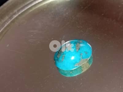 فيروز كرماني ايراني