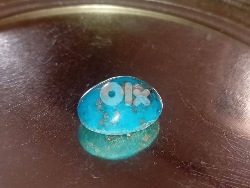 فيروز كرماني ايراني 1