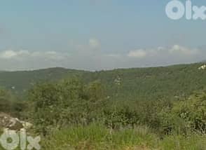 Land For Sale In Sehayleh  - أرض للبيع في سهيلة