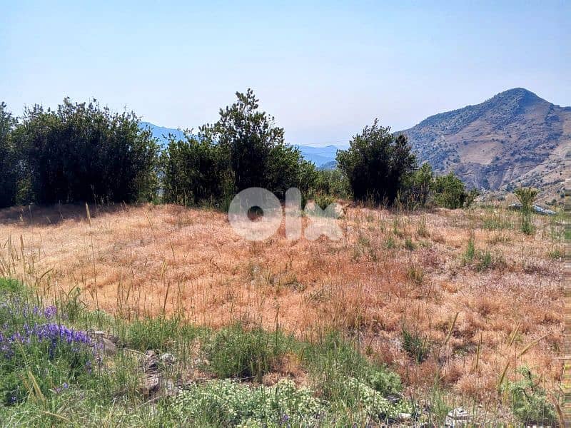 lands for sale in tannourine أرض للبيع في تنورين 3