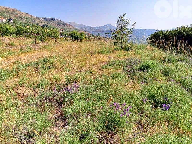 lands for sale in tannourine أرض للبيع في تنورين 4