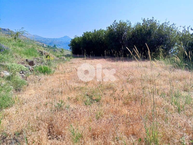 lands for sale in tannourine أرض للبيع في تنورين 5