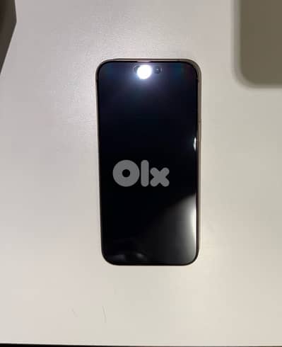 iPhone 16 Pro Max 256 GB 100% Battery